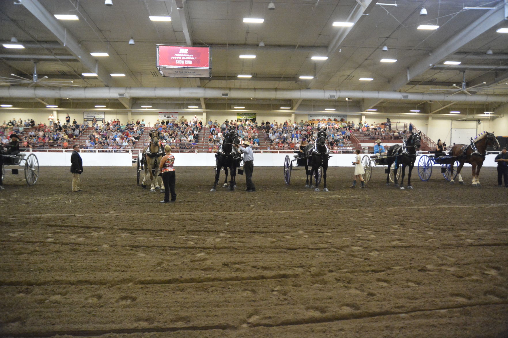 8-25-19 Draft Horse Hitch Final (134).JPG